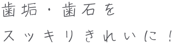 歯垢・歯石をスッキリきれいに!